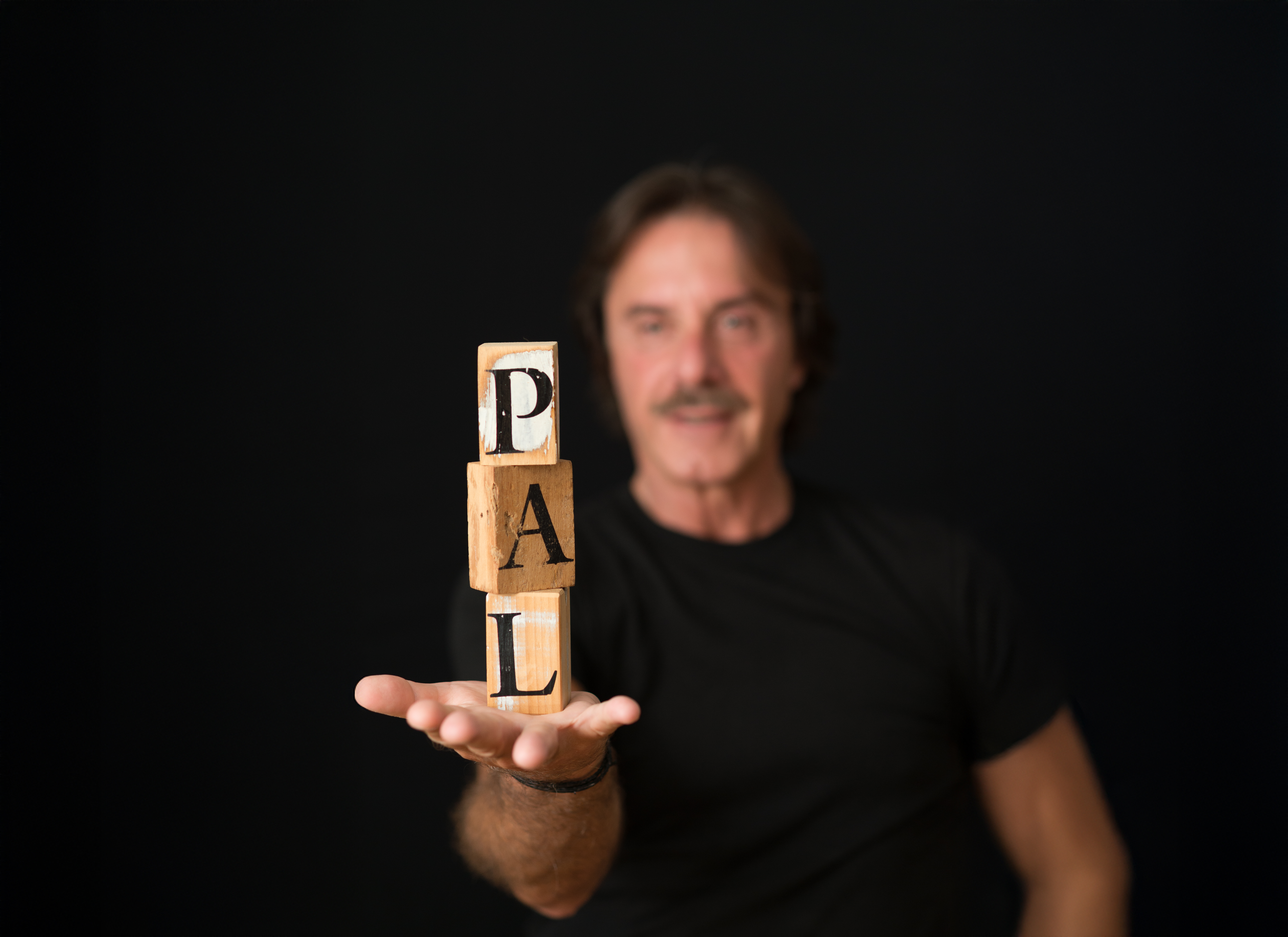 PAL & DAC